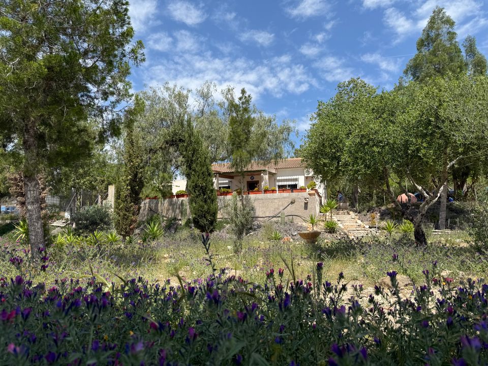 Finca i La Tercia (Sucina), Murcia - foto 2